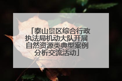 泰山景区综合行政执法局机动大队开展自然资源类典型案例分析交流活动