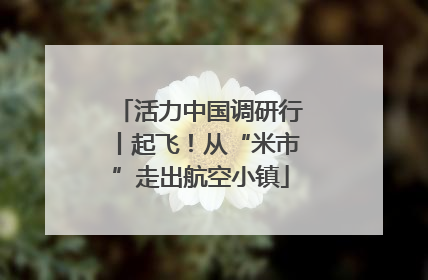 活力中国调研行丨起飞！从“米市”走出航空小镇