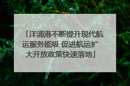 洋浦港不断提升现代航运服务能级 促进航运扩大开放政策快速落地