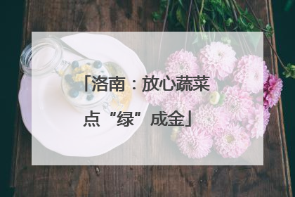 洛南：放心蔬菜点“绿”成金