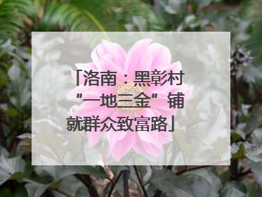 洛南：黑彰村“一地三金”铺就群众致富路