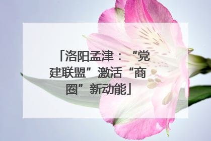 洛阳孟津：“党建联盟”激活“商圈”新动能