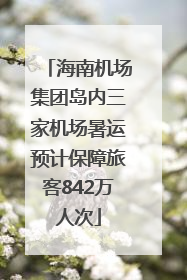 海南机场集团岛内三家机场暑运预计保障旅客842万人次