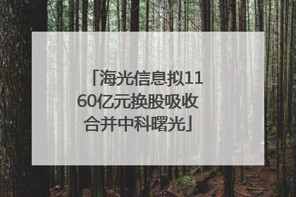 海光信息拟1160亿元换股吸收合并中科曙光