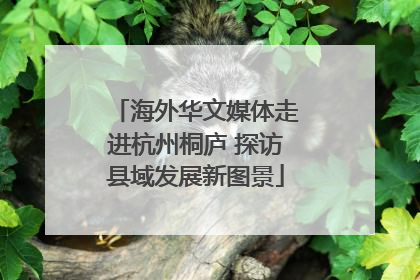 海外华文媒体走进杭州桐庐 探访县域发展新图景