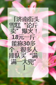 济南街头雪糕“论斤卖”爆火！18元一斤能称30多个，很多人排队买“满满一大兜”