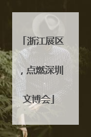 浙江展区，点燃深圳文博会