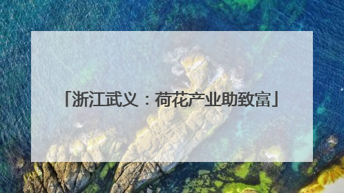 浙江武义：荷花产业助致富