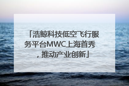 浩鲸科技低空飞行服务平台MWC上海首秀，推动产业创新