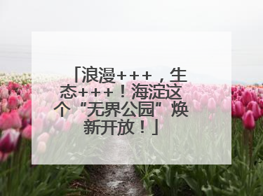 浪漫+++，生态+++！海淀这个“无界公园”焕新开放！