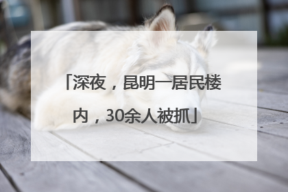 深夜，昆明一居民楼内，30余人被抓
