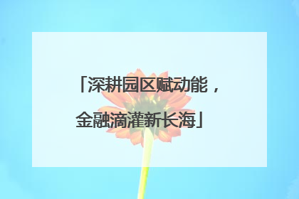 深耕园区赋动能，金融滴灌新长海