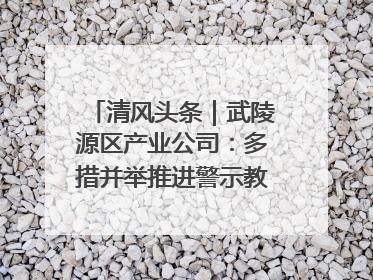 清风头条｜武陵源区产业公司：多措并举推进警示教育走深走实