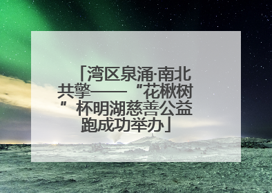 湾区泉涌·南北共擎——“花楸树”杯明湖慈善公益跑成功举办