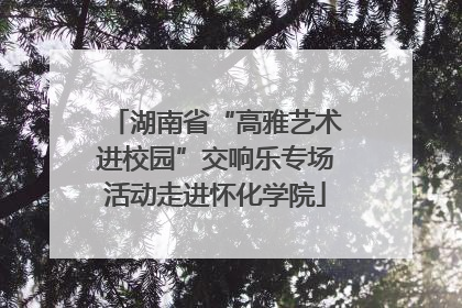 湖南省“高雅艺术进校园”交响乐专场活动走进怀化学院