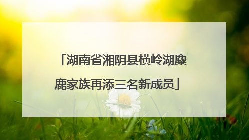 湖南省湘阴县横岭湖麋鹿家族再添三名新成员