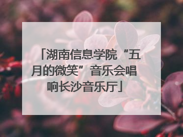 湖南信息学院“五月的微笑”音乐会唱响长沙音乐厅