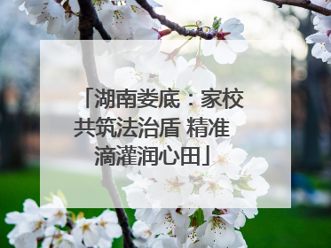 湖南娄底：家校共筑法治盾 精准滴灌润心田