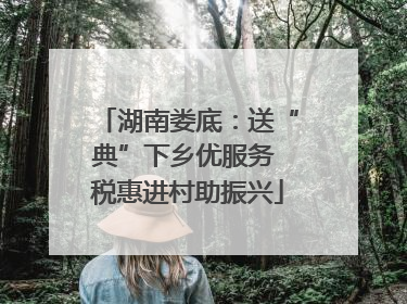 湖南娄底：送“典”下乡优服务 税惠进村助振兴