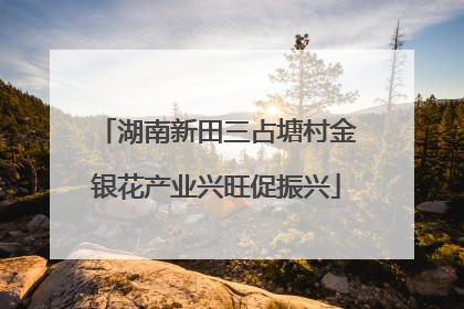 湖南新田三占塘村金银花产业兴旺促振兴