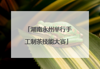 湖南永州举行手工制茶技能大赛