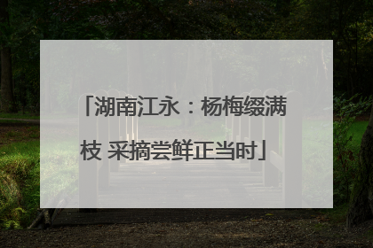 湖南江永：杨梅缀满枝 采摘尝鲜正当时