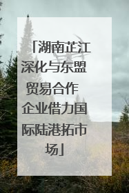 湖南芷江深化与东盟贸易合作 企业借力国际陆港拓市场