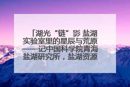 湖光“链”影 盐湖实验室里的星辰与荒原——记中国科学院青海盐湖研究所，盐湖资源化学实验室党总支书记、副主任刘忠