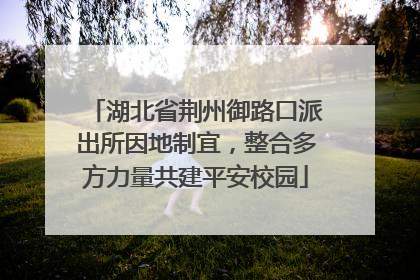 湖北省荆州御路口派出所因地制宜，整合多方力量共建平安校园