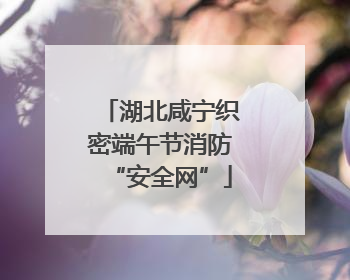 湖北咸宁织密端午节消防“安全网”