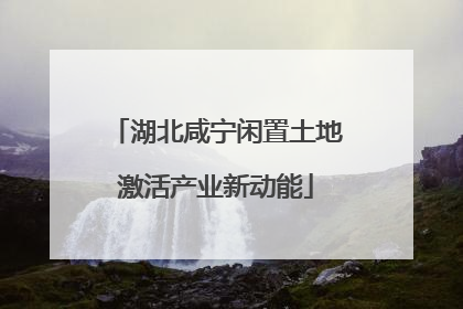 湖北咸宁闲置土地激活产业新动能