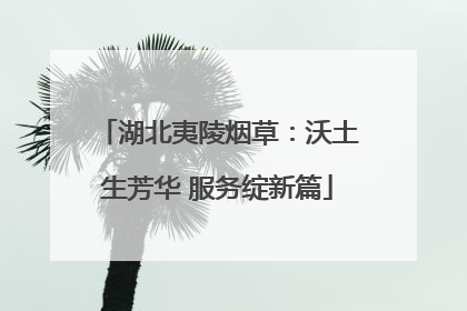 湖北夷陵烟草：沃土生芳华 服务绽新篇