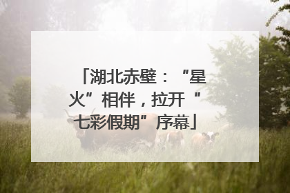 湖北赤壁：“星火”相伴，拉开“七彩假期”序幕