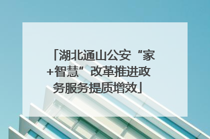 湖北通山公安“家+智慧”改革推进政务服务提质增效