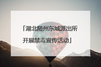 湖北随州东城派出所开展禁毒宣传活动