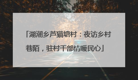 湖潮乡芦猫塘村：夜访乡村巷陌，驻村干部情暖民心