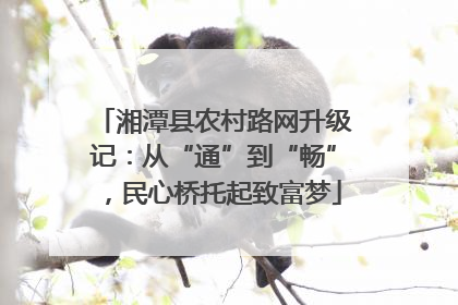 湘潭县农村路网升级记：从“通”到“畅”，民心桥托起致富梦