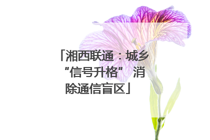 湘西联通：城乡“信号升格” 消除通信盲区