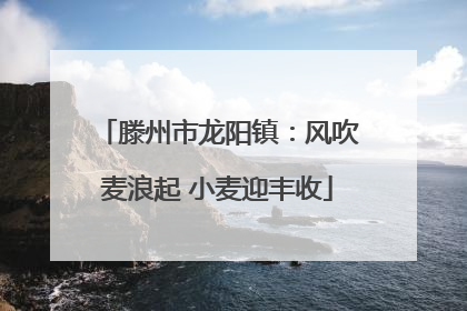 滕州市龙阳镇：风吹麦浪起 小麦迎丰收