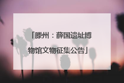 滕州：薛国遗址博物馆文物征集公告