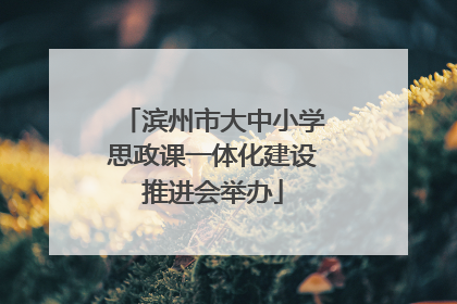 滨州市大中小学思政课一体化建设推进会举办