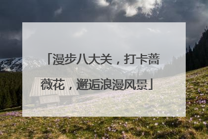 漫步八大关，打卡蔷薇花，邂逅浪漫风景