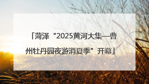 菏泽“2025黄河大集—曹州牡丹园夜游消夏季”开幕