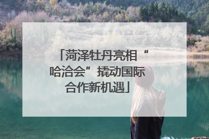 菏泽牡丹亮相“哈洽会”撬动国际合作新机遇