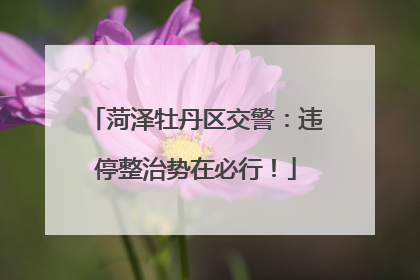 菏泽牡丹区交警：违停整治势在必行！