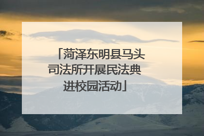 菏泽东明县马头司法所开展民法典进校园活动