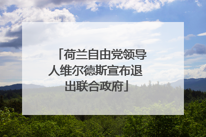 荷兰自由党领导人维尔德斯宣布退出联合政府