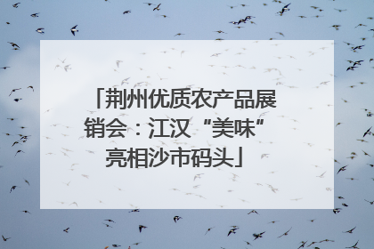 荆州优质农产品展销会：江汉“美味”亮相沙市码头
