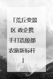 荒丘变景区 政企携手打造殷都农旅新标杆