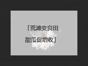 荒滩变良田 甜瓜促增收